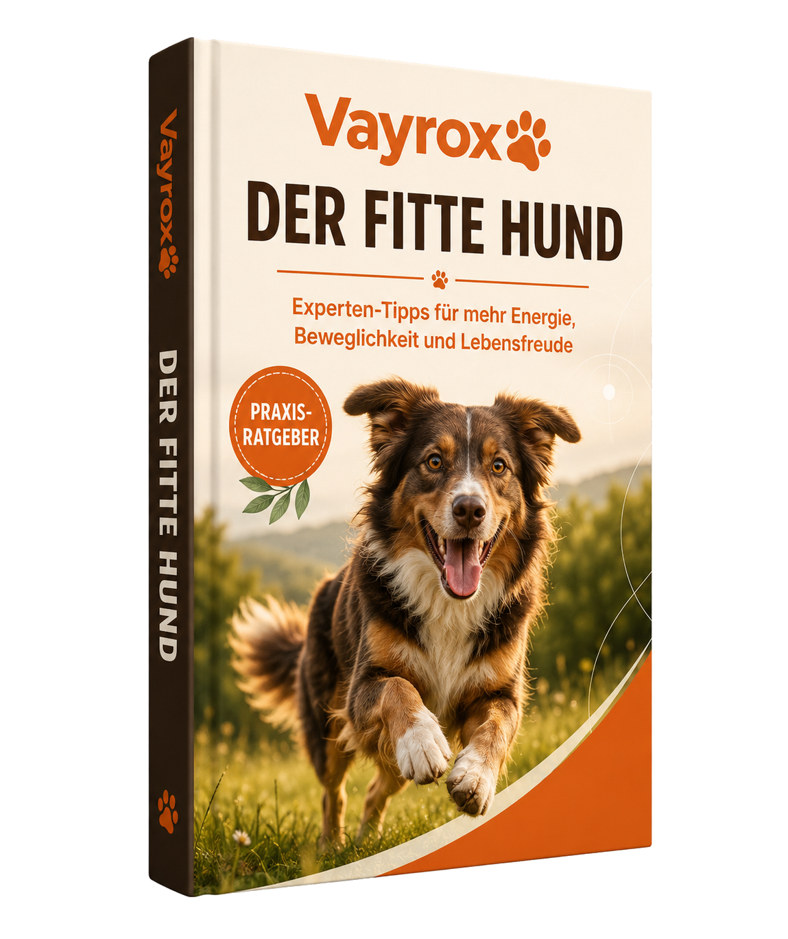 Vayrox Ratgeber - Der Fitte Hund