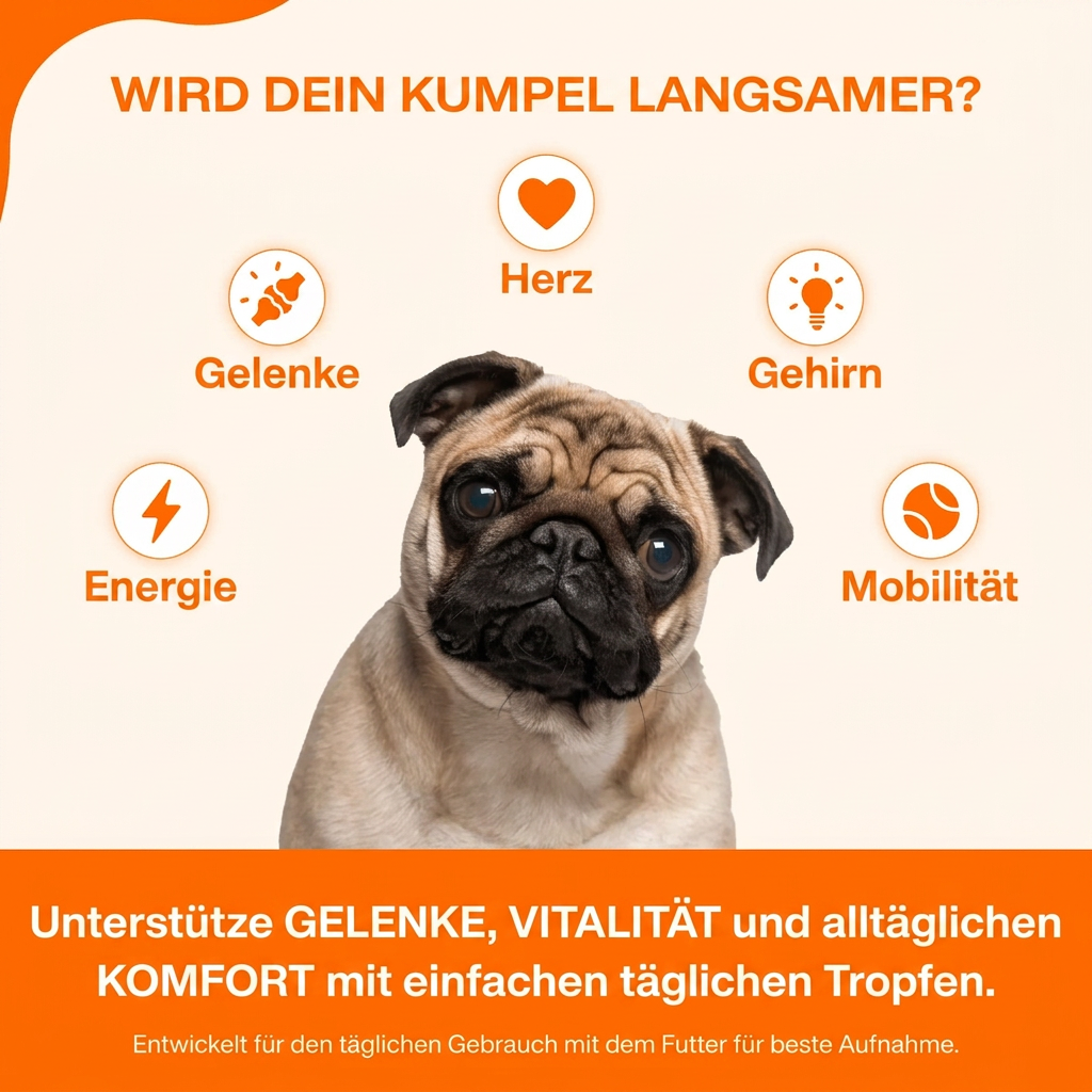 Der Vayrox Muntermacher