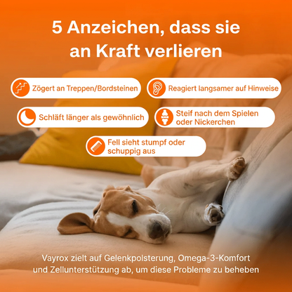 Der Vayrox Muntermacher