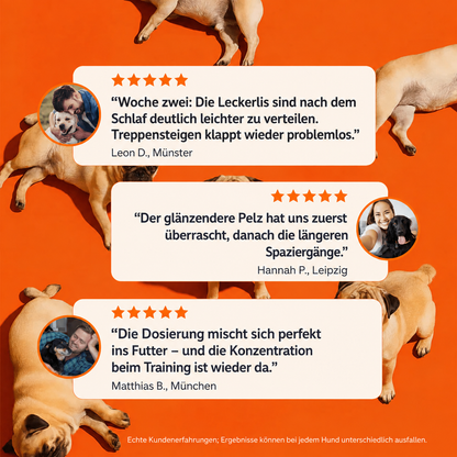 Der Vayrox Muntermacher