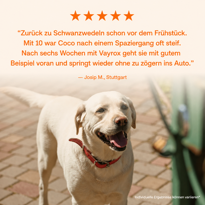 Der Vayrox Muntermacher