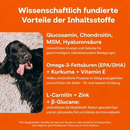 Der Vayrox Muntermacher