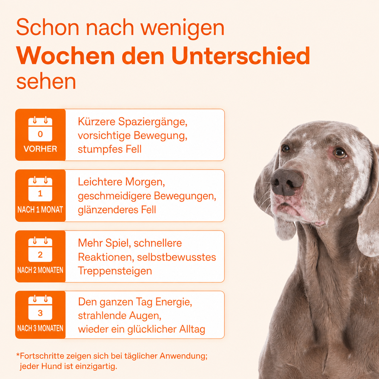 Der Vayrox Muntermacher