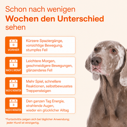 Der Vayrox Muntermacher